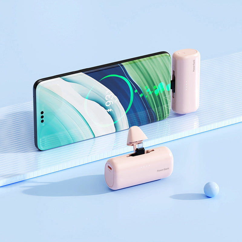 Compact Dual Plug Quick Charge Power Bank