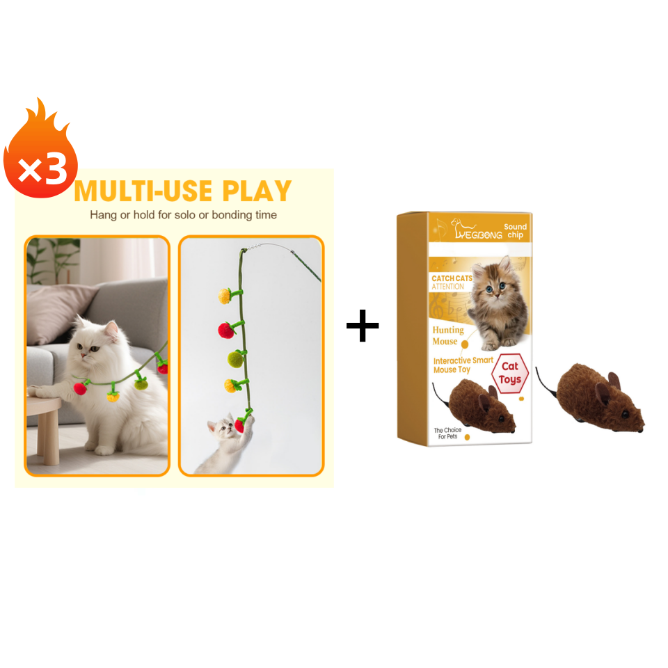 Interactive Fruit-Shaped Catnip Toy String with Bells