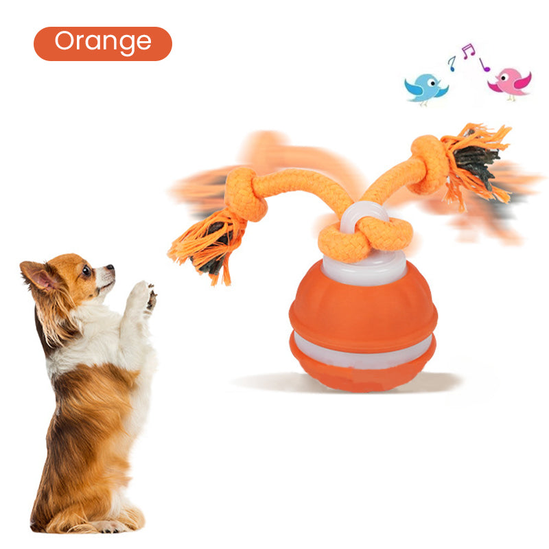 Interactive Rolling Cat Ball with Bird Sounds