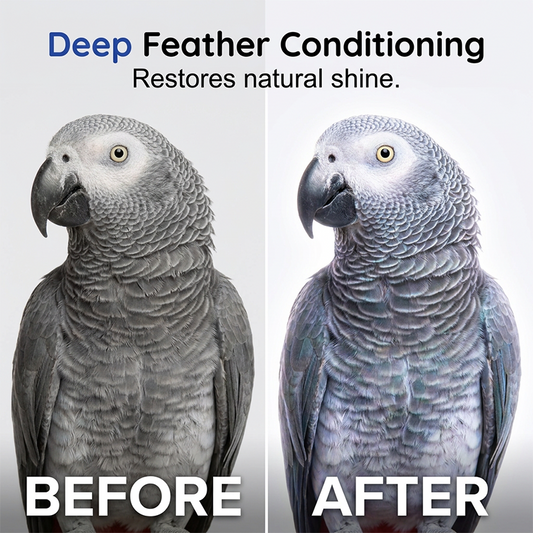 7-in-1 Waterless Dry Cleaning Foam for Parrots