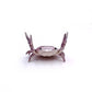 Funny Cute Crab-Shaped Pen Holder