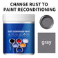Metal Rust Preventive Paint 500 g