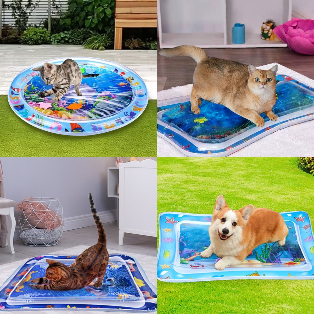 Pet Water Sensory Play Mat with Floating Fish