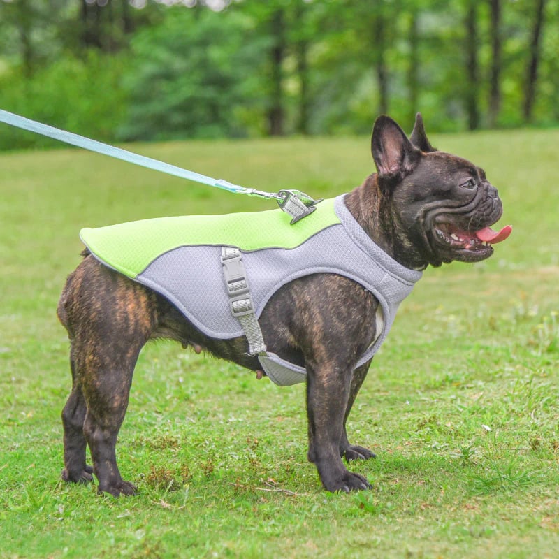 Dog Summer Cooling Vest with UV Protection
