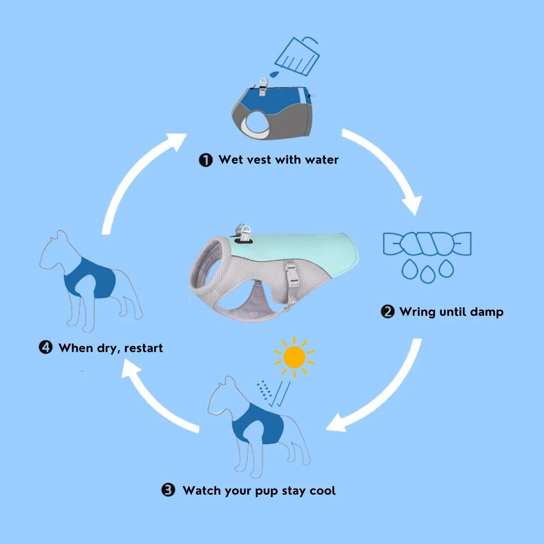 Dog Summer Cooling Vest with UV Protection