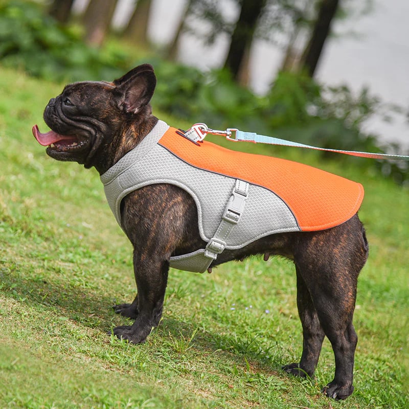 Dog Summer Cooling Vest with UV Protection