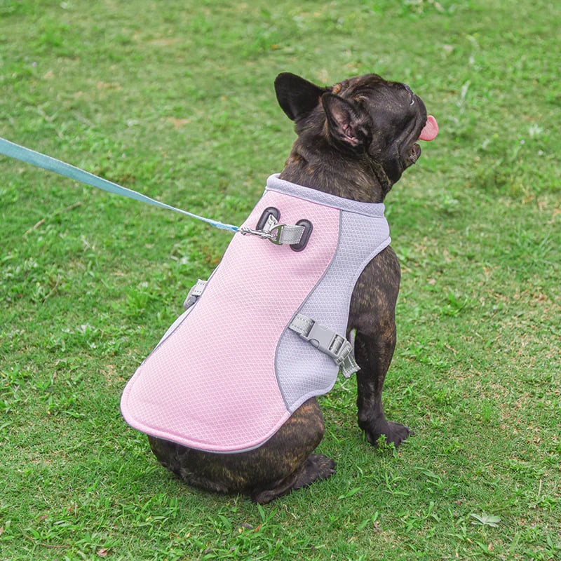 Dog Summer Cooling Vest with UV Protection