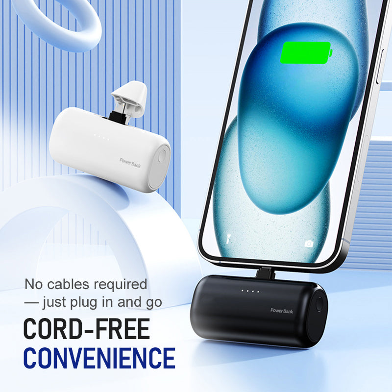 Compact Dual Plug Quick Charge Power Bank