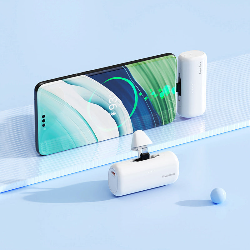 Compact Dual Plug Quick Charge Power Bank
