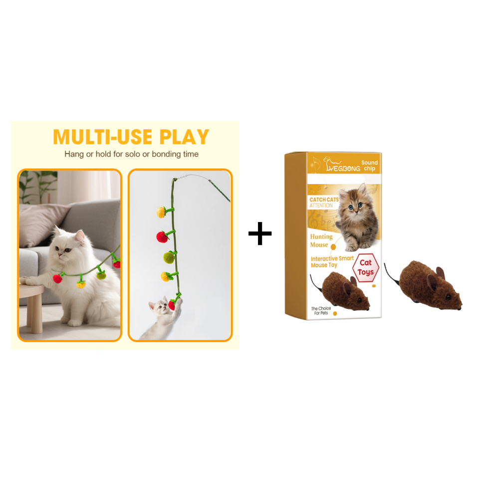 Interactive Fruit-Shaped Catnip Toy String with Bells