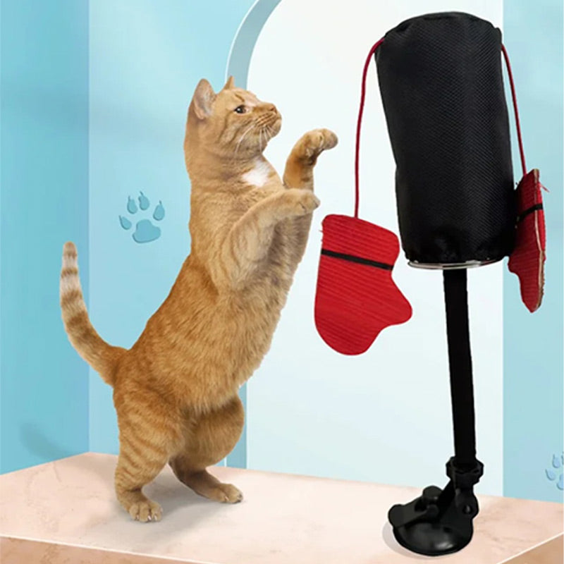 Interactive Cat Punching Bag Toy