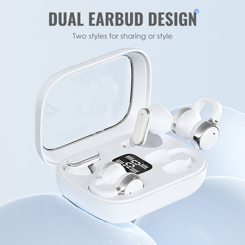 4-in-1 Wireless Earbuds with LED Case