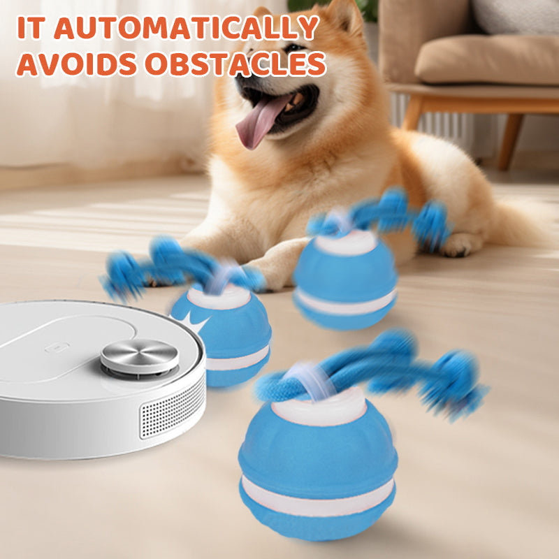 Interactive Rolling Cat Ball with Bird Sounds