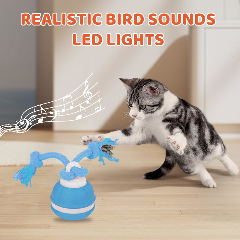 Interactive Rolling Cat Ball with Bird Sounds