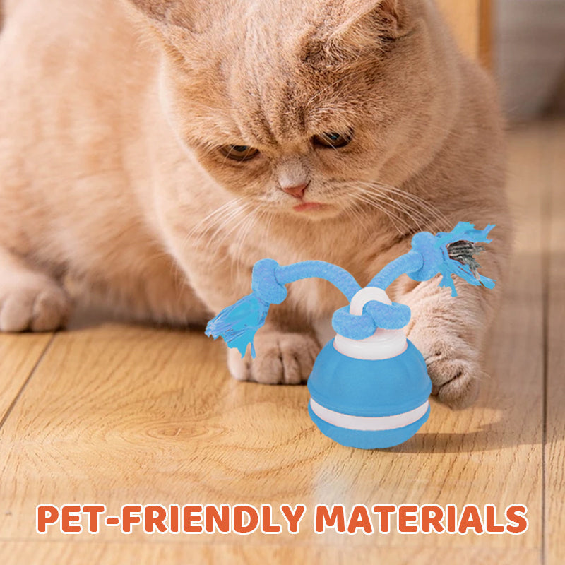 Interactive Rolling Cat Ball with Bird Sounds