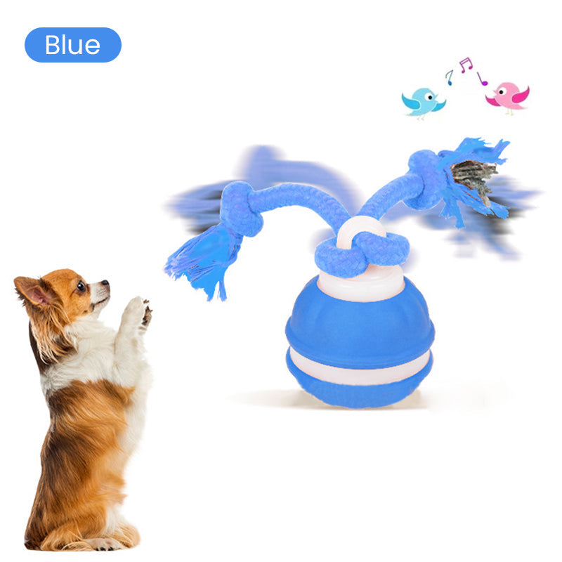 Interactive Rolling Cat Ball with Bird Sounds