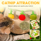 Interactive Fruit-Shaped Catnip Toy String with Bells
