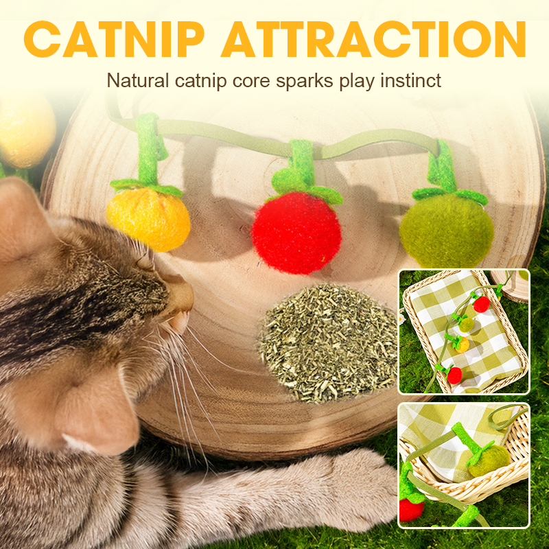 Interactive Fruit-Shaped Catnip Toy String with Bells