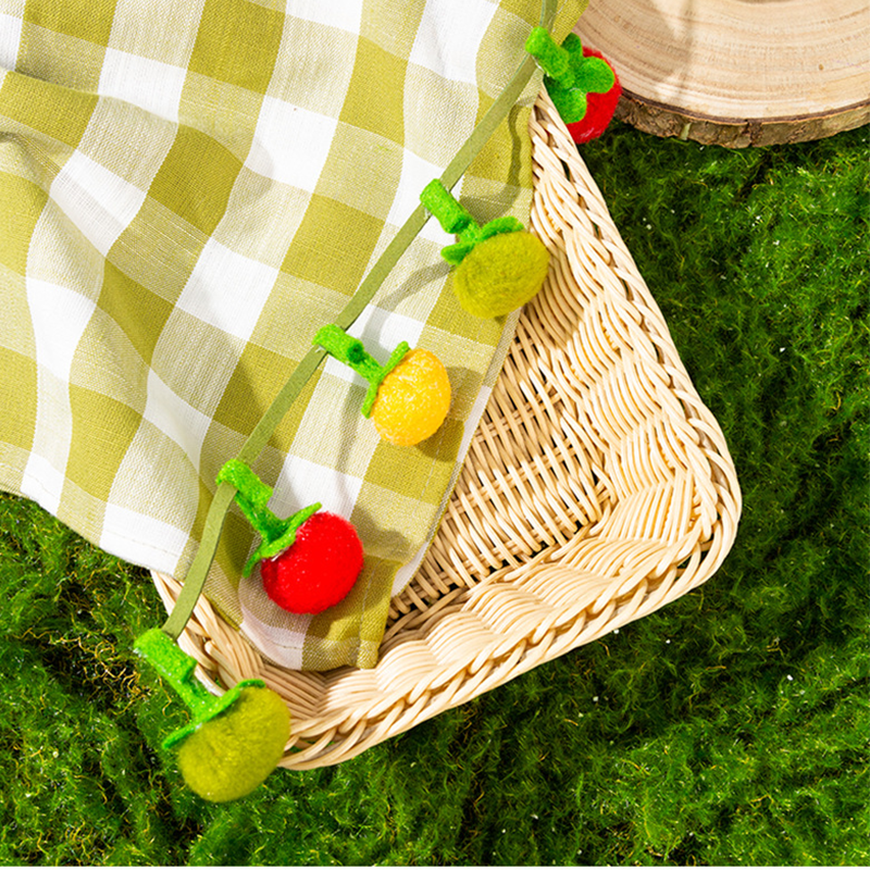 Interactive Fruit-Shaped Catnip Toy String with Bells