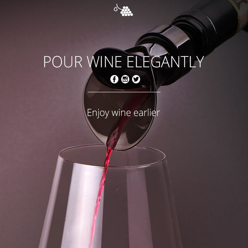 2-in-1 Red Wine Stopper and Pourer
