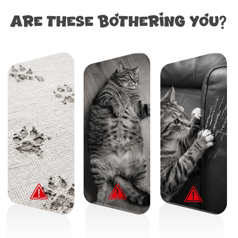 Interactive Remote Control Hanging Cat Toy