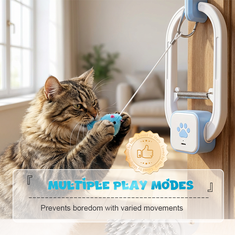 Interactive Remote Control Hanging Cat Toy
