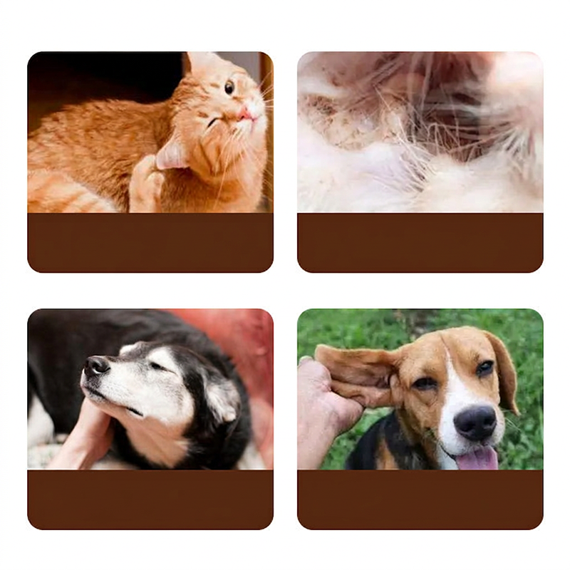 Tea Tree Oil Ear Cleaner for Cats and Dogs