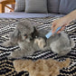 Premium Coat Brush for Cats and Dogs