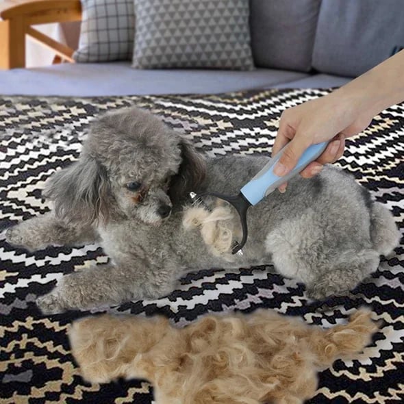 Premium Coat Brush for Cats and Dogs