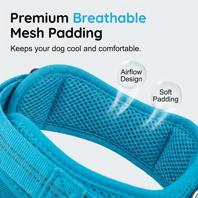 Easy On-Off Padded Dog Harness with No-Pull Design & Breathable Mesh