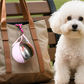 2-in-1 Portable Dog Water Bottle with Foldable Silicone Bowl