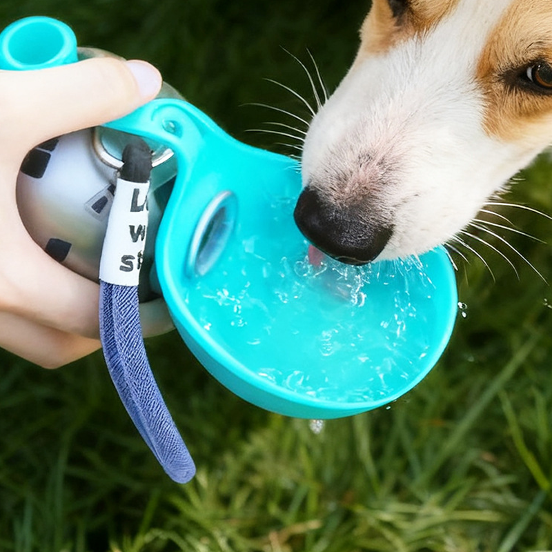 2-in-1 Portable Dog Water Bottle with Foldable Silicone Bowl