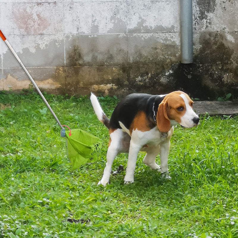 Foldable Pet Pooper Scooper with Waste Bags