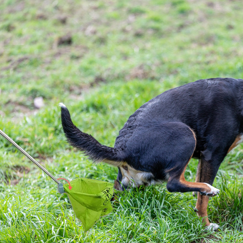 Foldable Pet Pooper Scooper with Waste Bags
