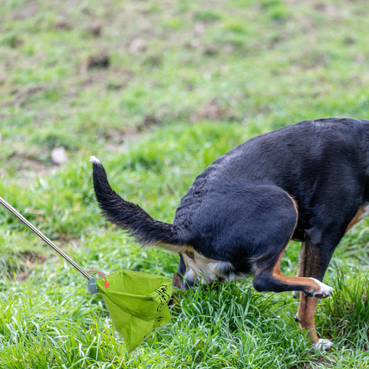 Foldable Pet Pooper Scooper with Waste Bags
