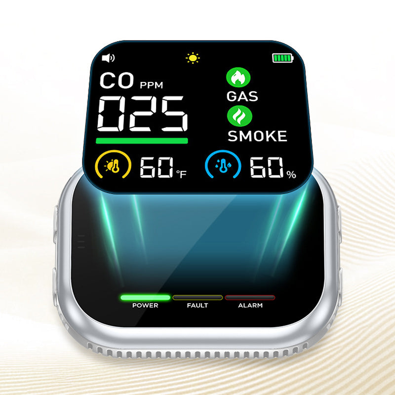 Portable Multi-Gas Alarm with LCD Display and Battery Backup