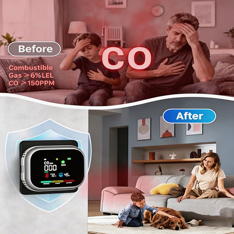 Portable Multi-Gas Alarm with LCD Display and Battery Backup