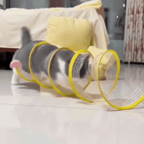 Cat Coil Interactive Tunnel Toy