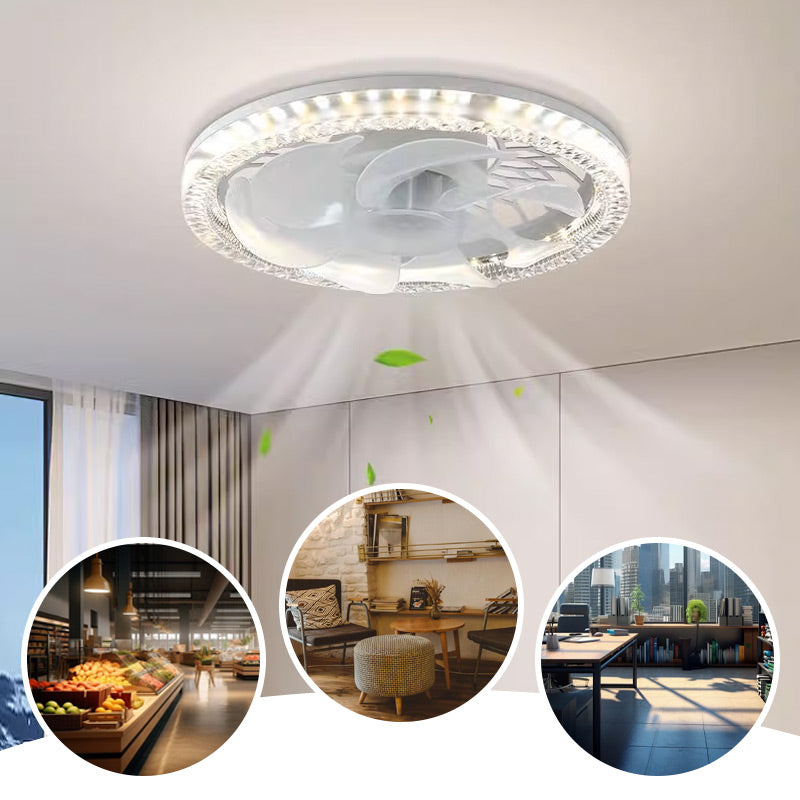 2-in-1 Ceiling Fan Light with Remote Control