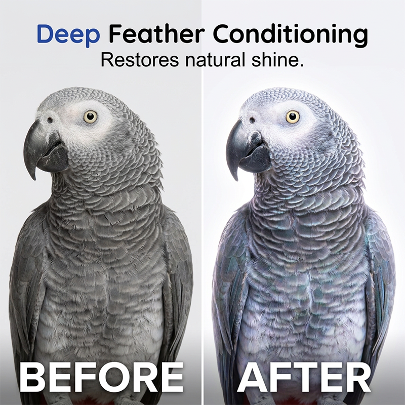 7-in-1 Waterless Dry Cleaning Foam for Parrots