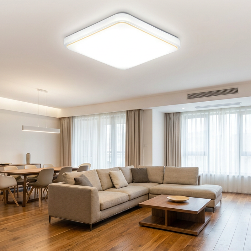 Modern Minimalist LED Ceiling Light
