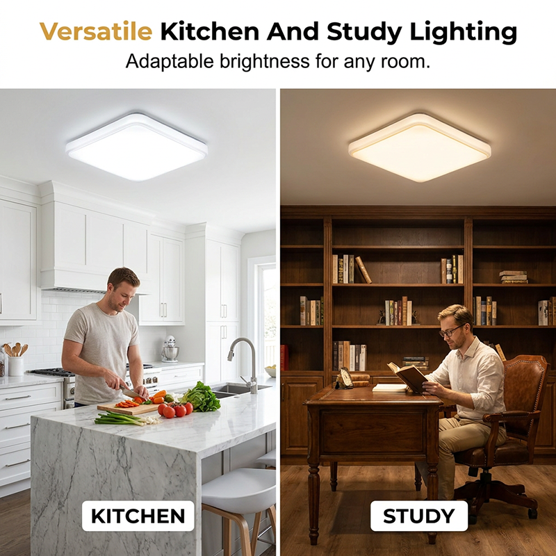 Modern Minimalist LED Ceiling Light