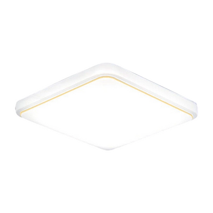 Modern Minimalist LED Ceiling Light