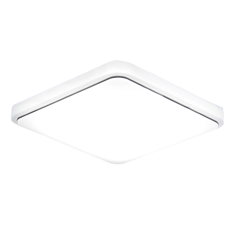 Modern Minimalist LED Ceiling Light