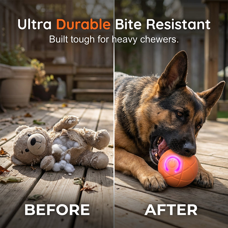 Auto-Bouncing Smart Pet Ball with Remote Control