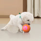 Auto-Bouncing Smart Pet Ball with Remote Control