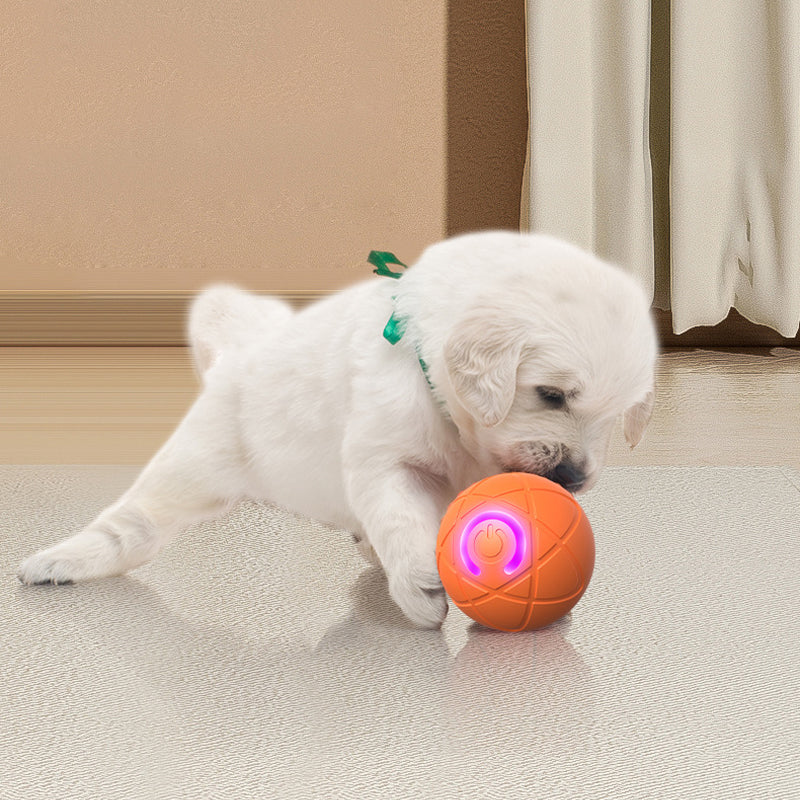 Auto-Bouncing Smart Pet Ball with Remote Control