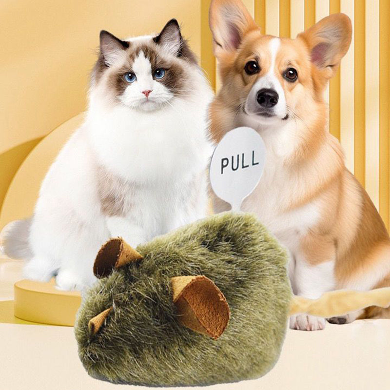 Interactive Plush Cat Toy with Realistic Sound