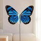 Electric Cat Teaser with Rotating Butterfly & Suction Cup