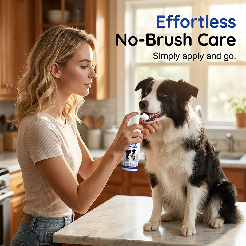 Pro-Grade Pet Tartar Remover Mousse